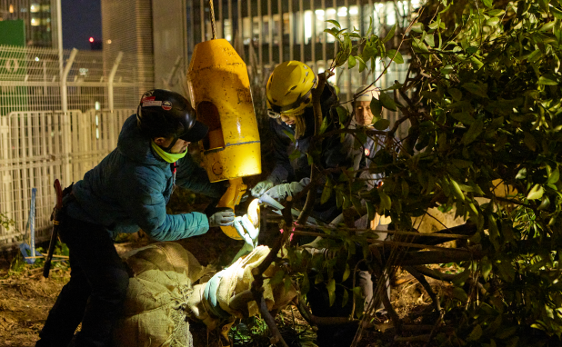 屋上庭園の樹木の移植は、クレーン車で作業しました。