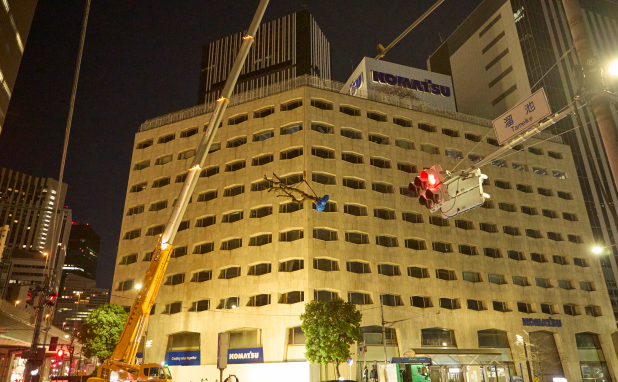 屋上まで届くクレーン車で樹木を地上まで下ろしました。